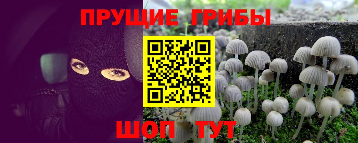 Псилоцибиновые грибы Psilocybine cubensis  Вход с VPN  Москва  Галлюциногенные грибы мухоморы 